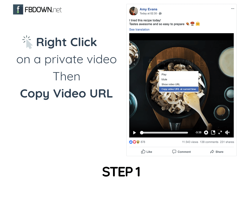 download private facebook video android